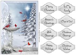 Red Cardinals & Snowy Trees