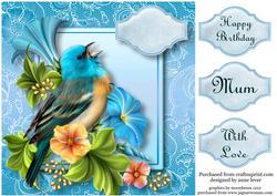 Beautiful Singing Blue Bird