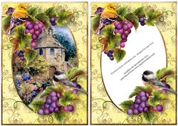 Birds & Grapes at the Dovecote + Extra Frame