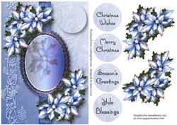 Beautiful Blue Poinsettia Christmas