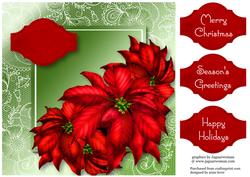Red Poinsettias Lacey Square