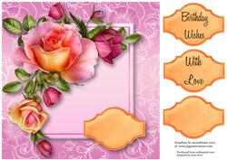Peach Romantica Roses Lacey Square