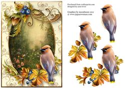 Gorgeous Bird & Berries
