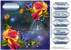 Beautiful Roses at the Enchanted Lagoon