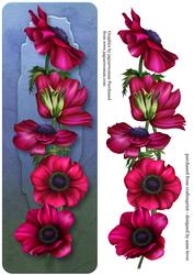 Large Dl Anemones