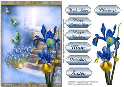 Beautiful Iris & Butterfly Fantasy