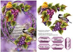 Fabulous Birds, Grapes & Purple Frame