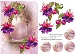 Soft Pink and Purple Fuschias