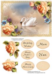 Beautiful Swan & Peach Roses