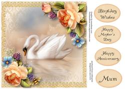 Beautiful Swan & Peach Roses - Square