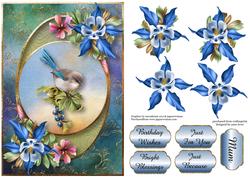 Centre Circle - Fleur De La Foret & Pretty Bird