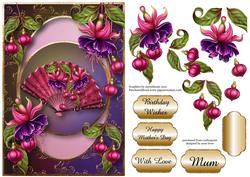 Centre Circle - Beautiful Fuschia Fan