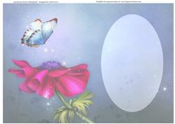 Magical Anemone & Butterfly - Insert