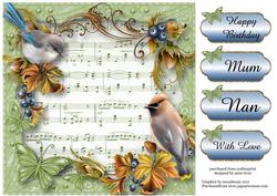 Birds, Berries & Butterflies Soft Sheet Music