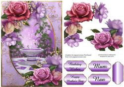 Beautiful Belle Roses Garden