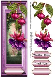 Large Dl Fuschia Framed