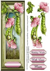 Large Dl Sweet Pea Framed