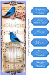 Large Dl Vintage Birdcage - Bluebird