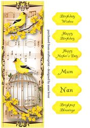 Large Dl Vintage Birdcage - Yellow Bird