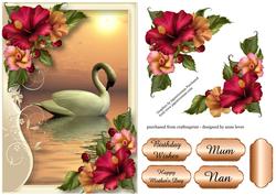 Serene Swan with Beautiful Hibiscus Flowers