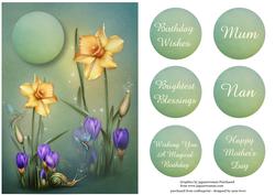 Beautiful Spring Daffodils & Crocus