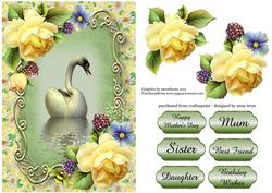 Soft Yellow Roses Swan Reflection