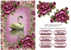 Purple Roses Swan Reflection