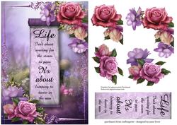Beautiful Belle Roses - Life Isn't About - 