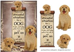Handle Every Stressfull Situation Like a Dog -