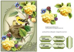 Gorgeous Goldfinch & Soft Yellow Roses