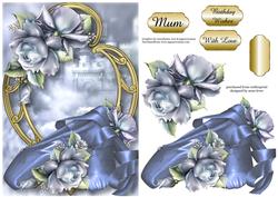 Stunning Shoes - the Ballet Collection - Porcelain Roses