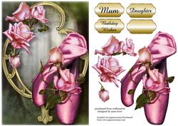 Stunning Shoes - the Ballet Collection - Cameo Roses