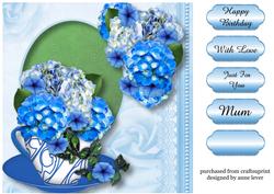 Beautiful Blue Hydrangeas in a Teacup
