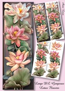Large Dl Gorgeous Lotus Flowers Mini Kit