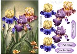 Iris Dreams Trio