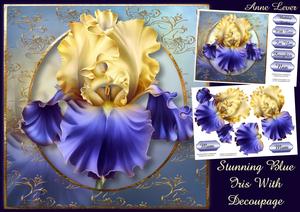 Stunning Blue Iris with Decoupage