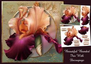 Beautiful Bearded Iris with Decoupage