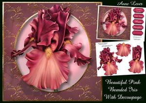 Beautiful Pink Bearded Iris with Decoupage