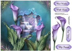Beautiful Calla Lilies at the Waterfall