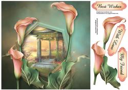 Gorgeous Salmon Calla Lilies