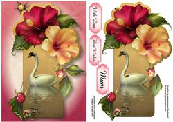 Hibiscus Flowers Swan Reflection
