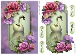 Belle Roses Swan Reflection