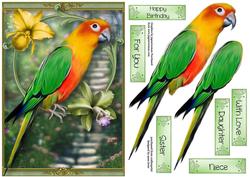 Parrot Pradise