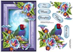 Rainbow Finch & Glorious Moonlight
