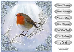 Robin Resting on a Branch