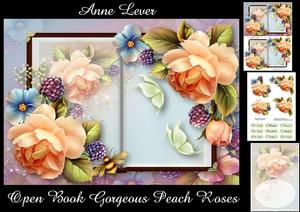 Open Book Gorgeous Peach Roses