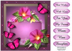 Gorgeous Morning Glory & Pink Butterflies
