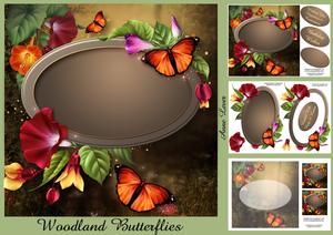 Woodland Butterflies