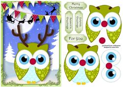 Rudolf the Red Nosed Owl