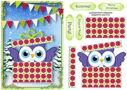 Christmas Owl - Surprise!